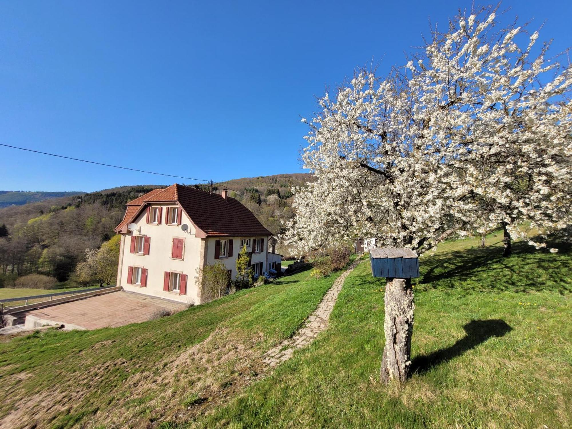Domaine De La Charriere Sur 63 Ares - 8 Pers Grand Confort Neuviller Exterior foto